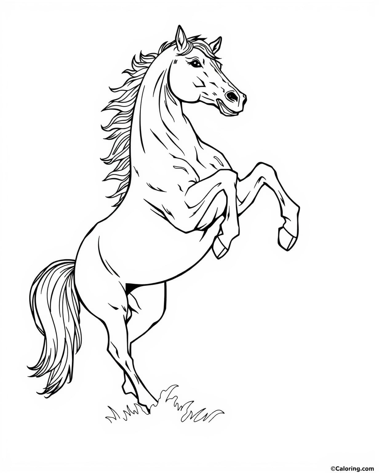 Bucking Horse Coloring Page