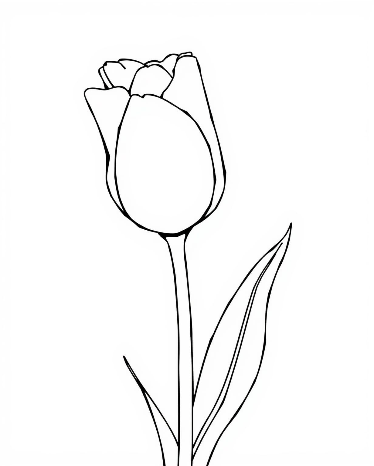 Classic Tulip Coloring Page