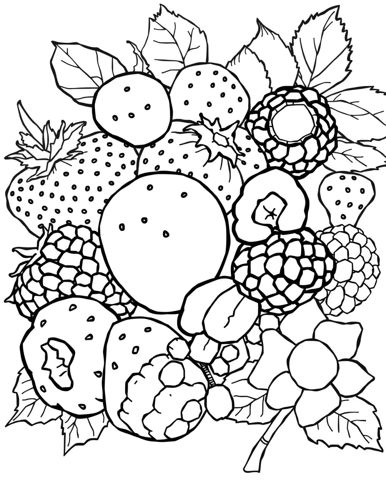 Colorful Berry Medley Coloring Page