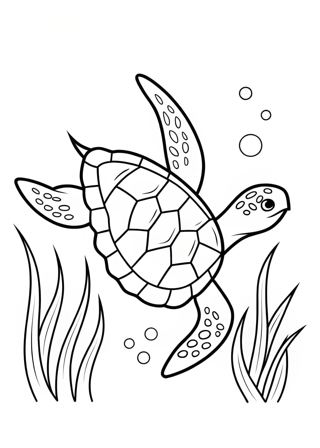 Detailed Turtle Coloring Page