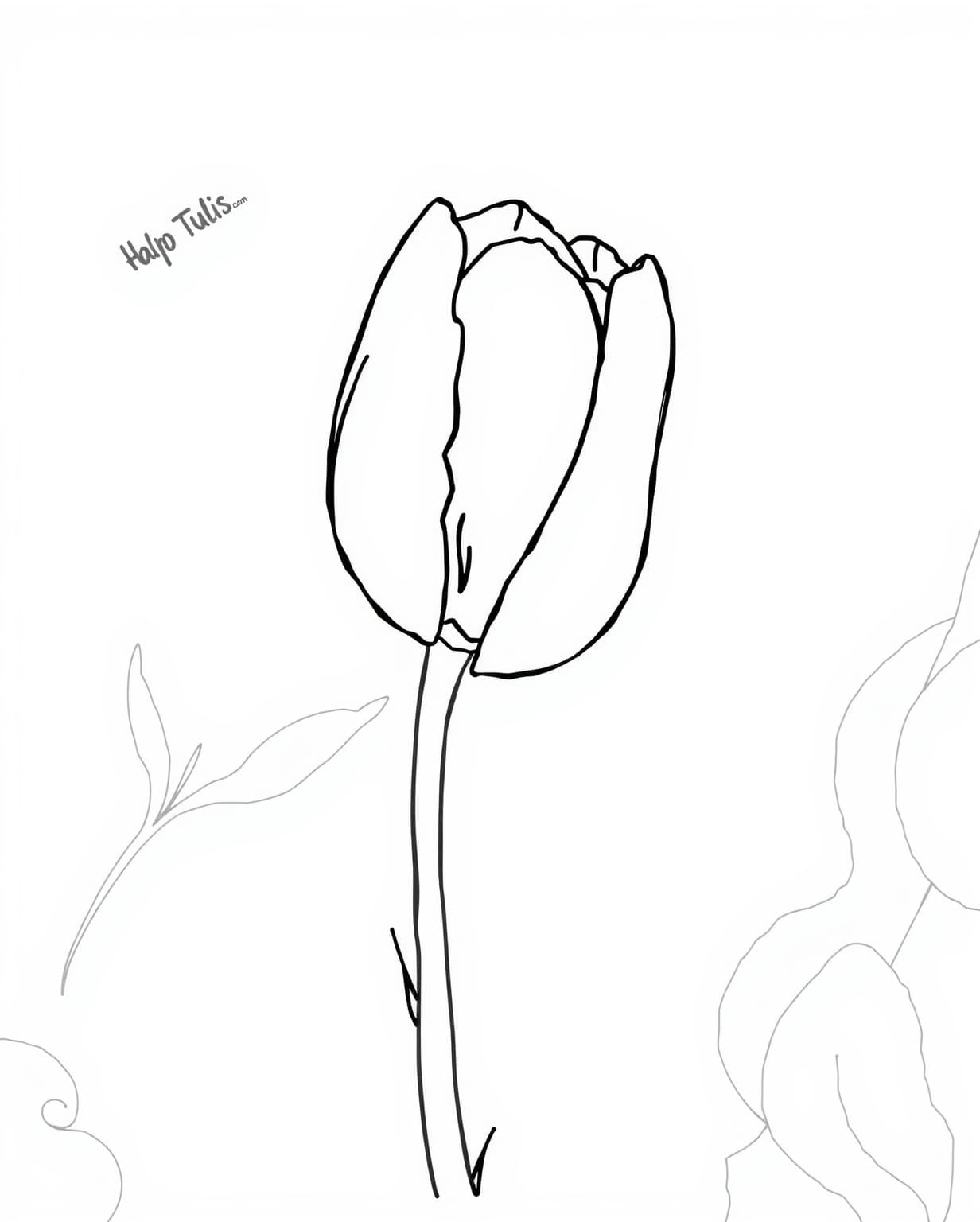 Elegant Single Tulip Coloring Page