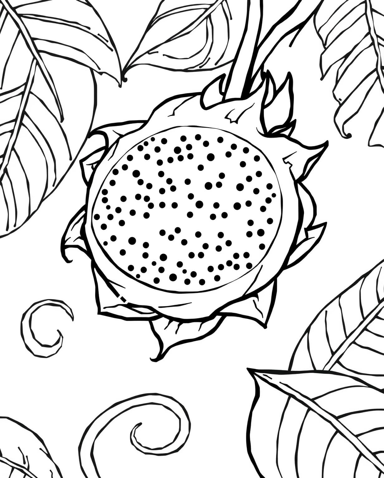 Exotic Dragon Fruit Coloring Page