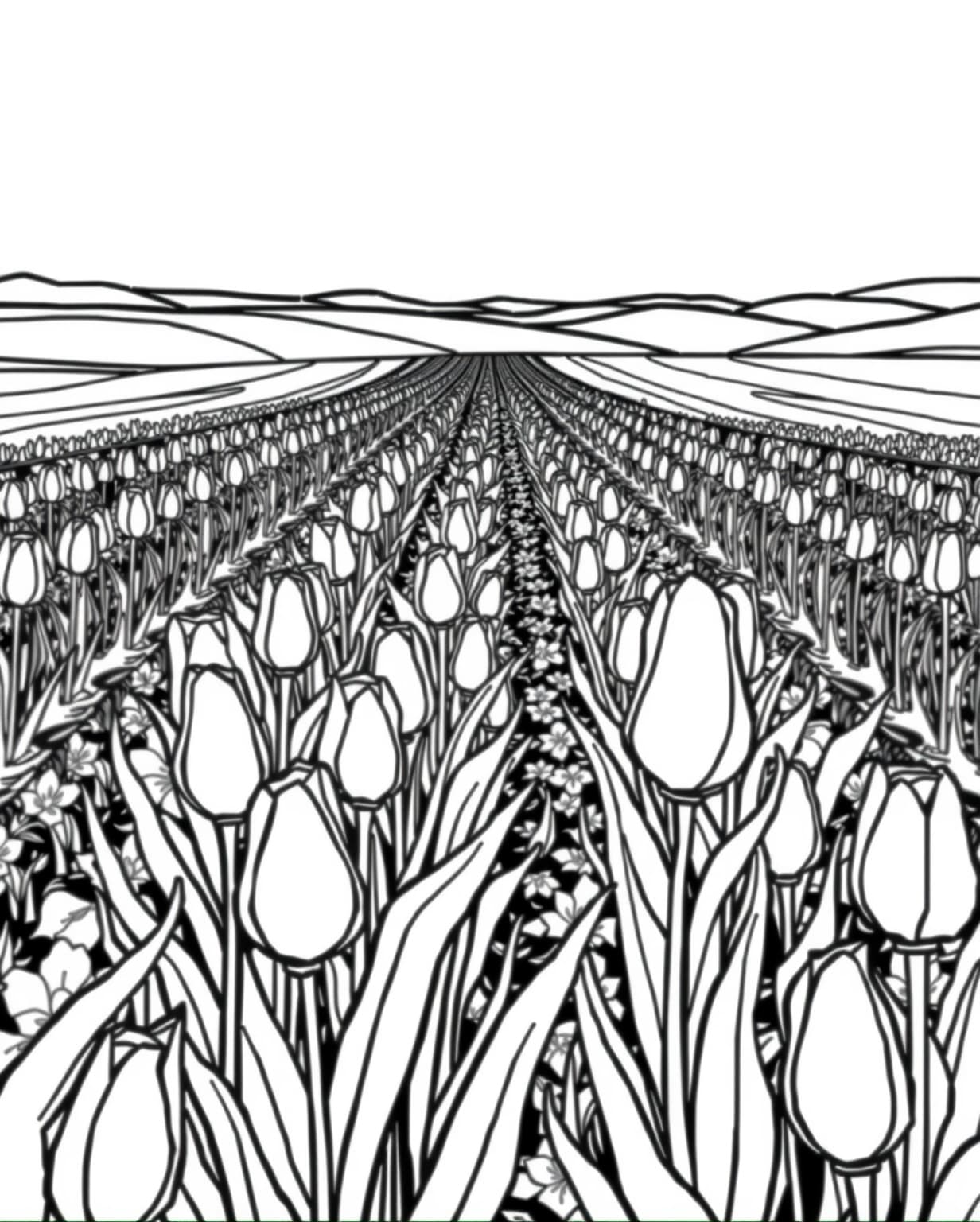Field of Tulips Coloring Page