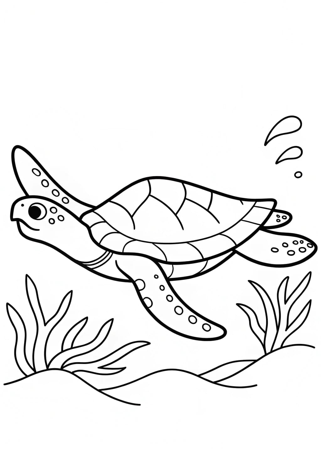 Green Sea Turtle Coloring Page