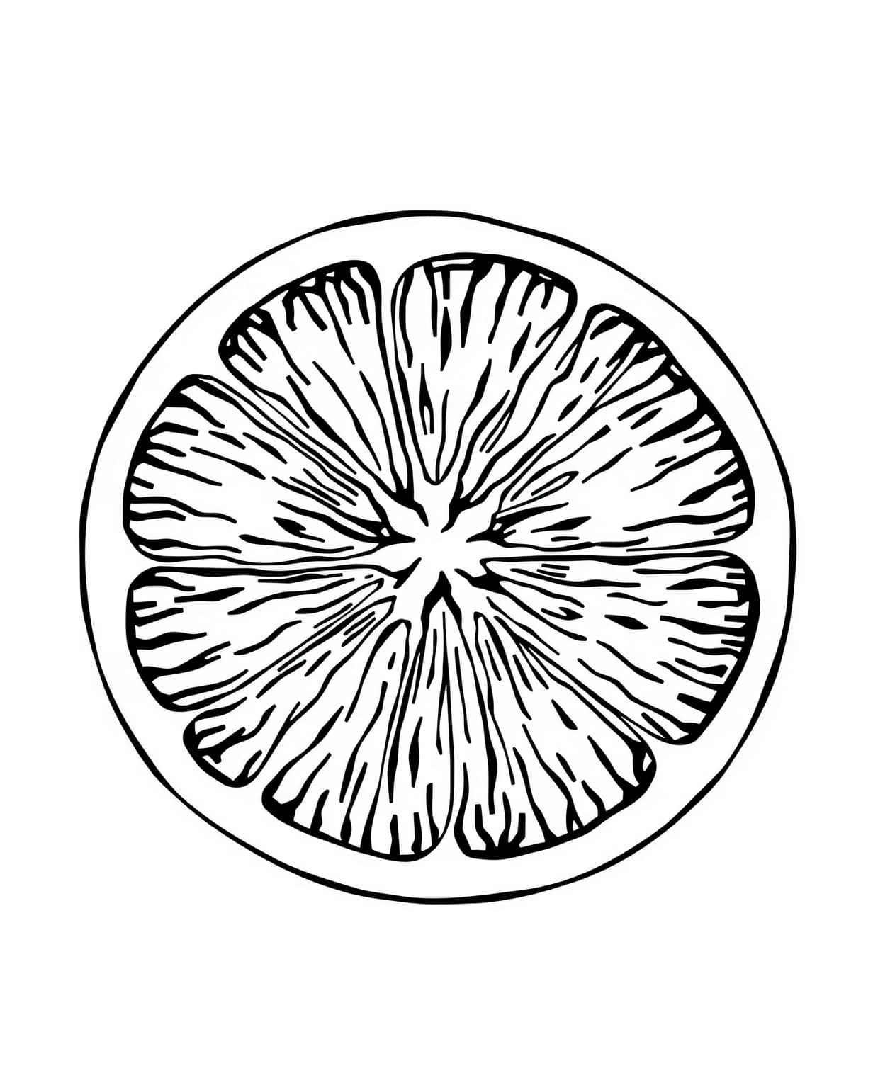 Juicy Orange Slice Coloring Page