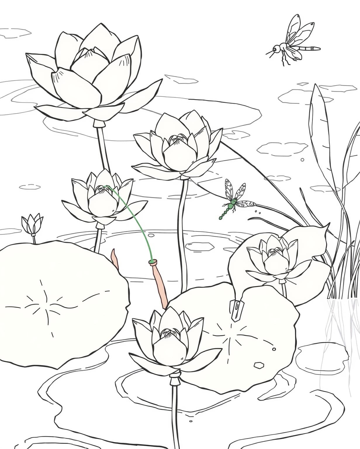 Lotus Pond Coloring Page
