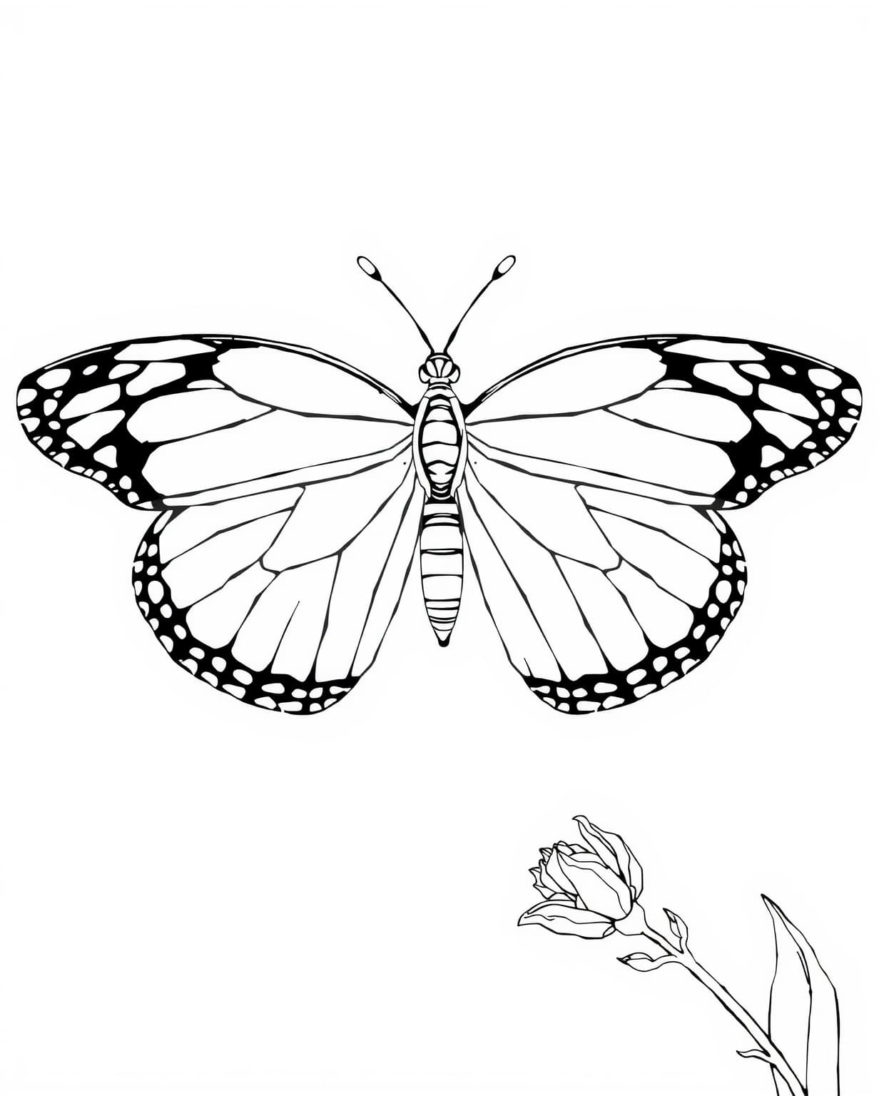 Realistic Butterfly Coloring Page