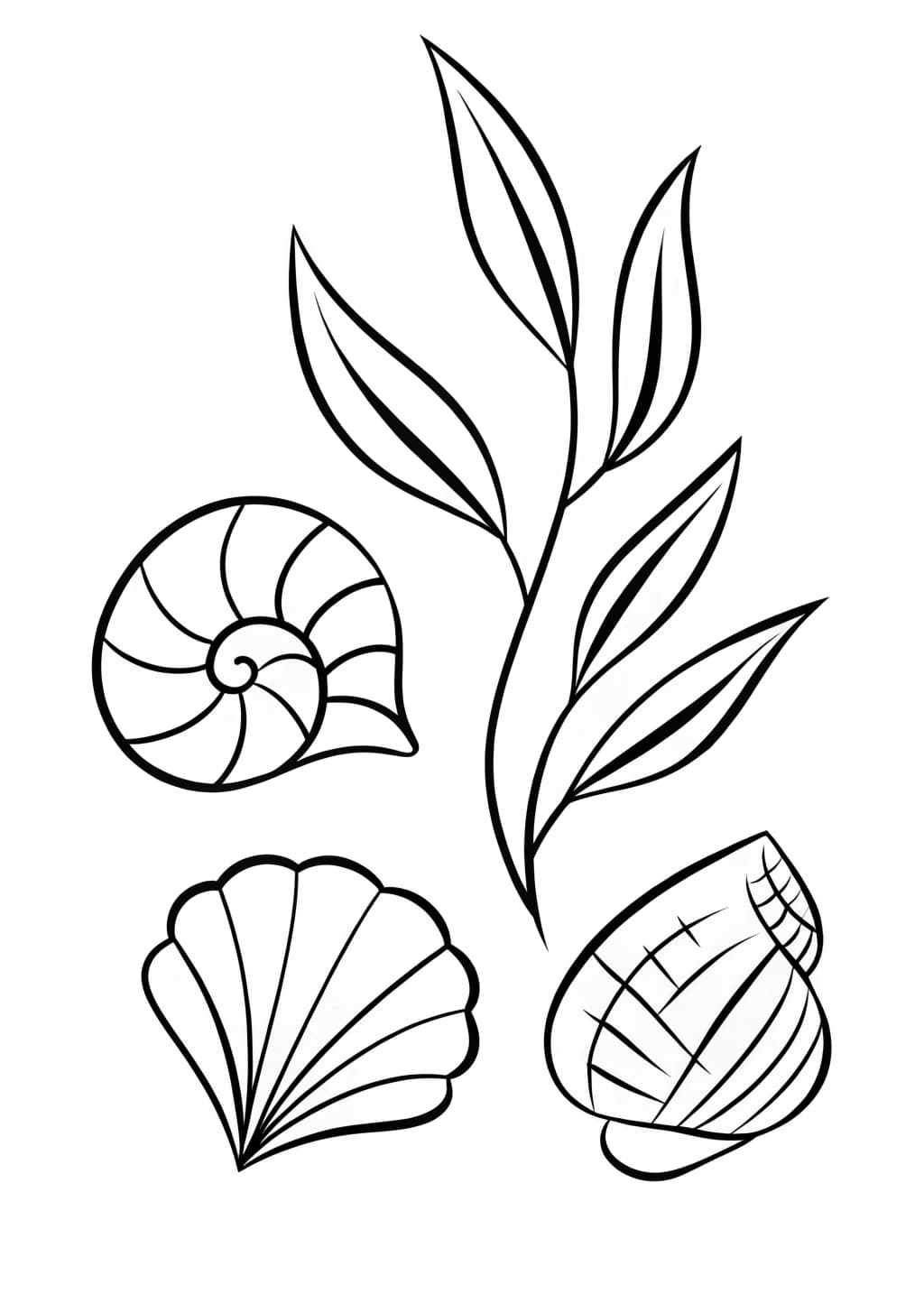 Sea Shells Coloring Page