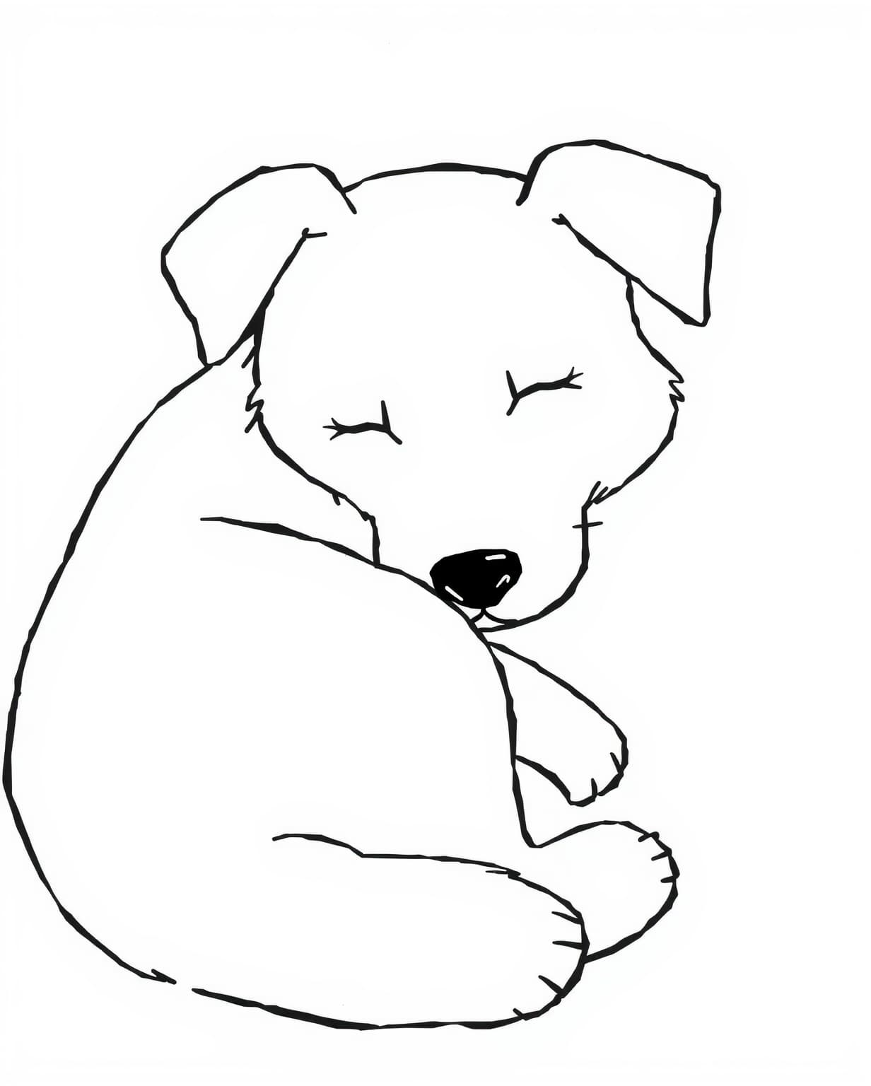Sleepy Dog Resting Coloring Page