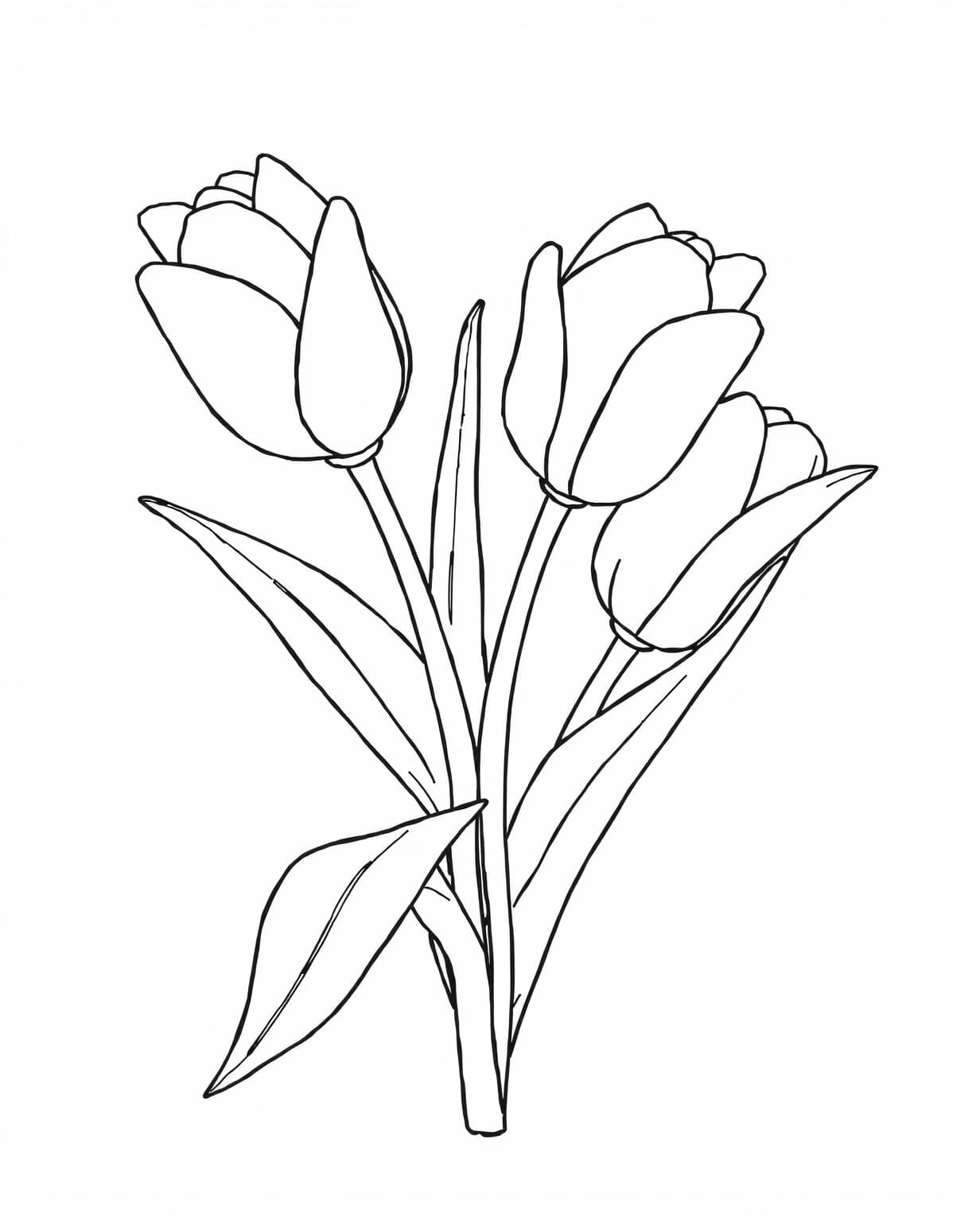 Tulip Bouquet Coloring Page