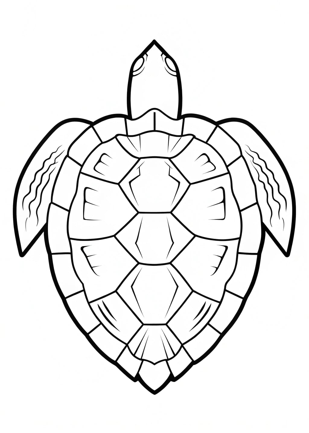 Turtle Shell Coloring Page