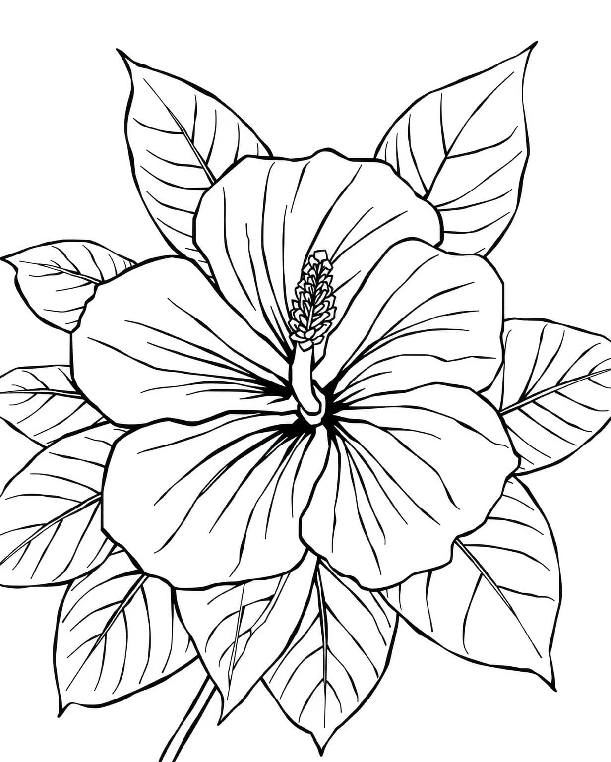 Tropical Hibiscus Flower Coloring Page